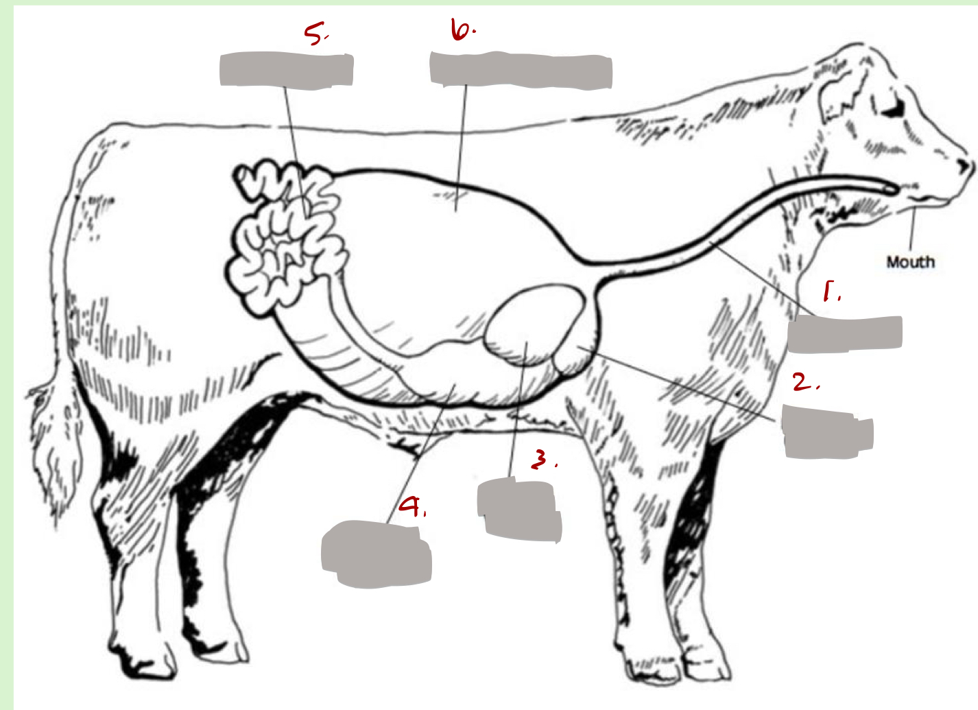 <p>what is 1</p>