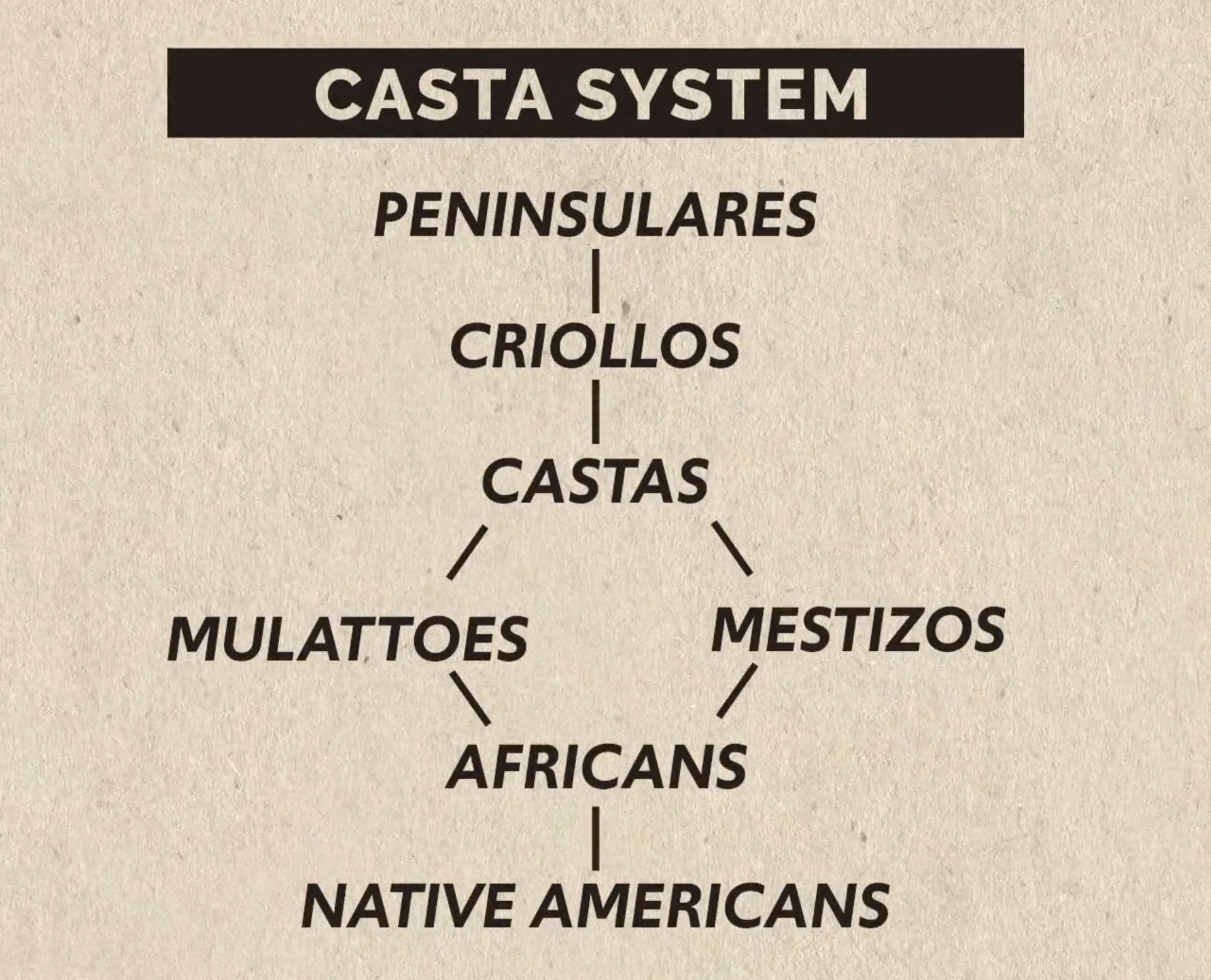 <p>created the caste system which is a system of social classes based on race </p>