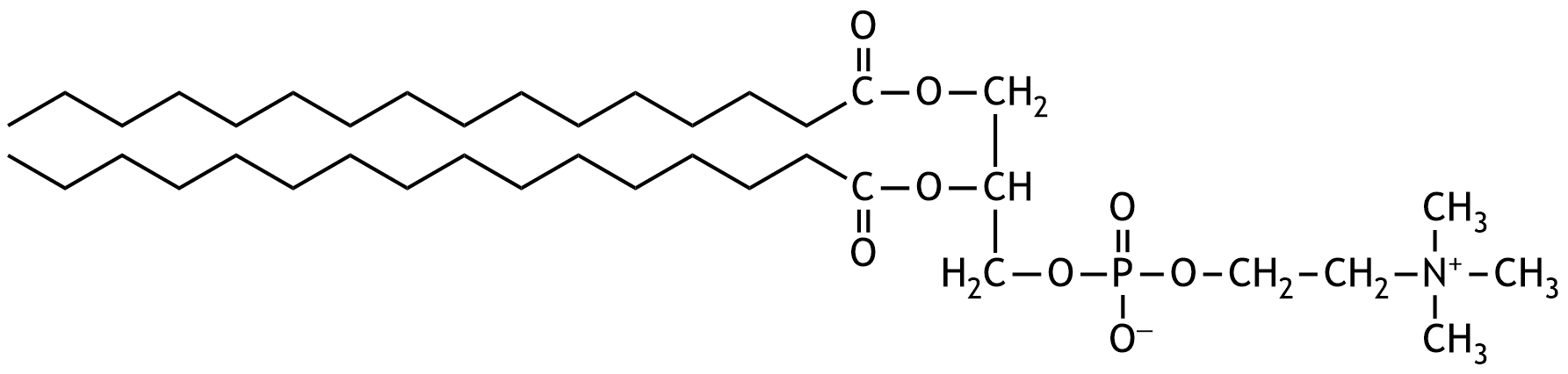 <p>41. Dipalmitoylphosphatidylcholine (DPPC) is an important component of surfactant. </p><p>Which of the following types of chemical compounds or functional groups is present in DPPC?</p><p>A. Asymmetric ether</p><p>B. Carboxylic acid ester</p><p>C. Phosphoric acid anhydride</p><p>D. Secondary alcohol</p><p>E. Tertiary amine</p>