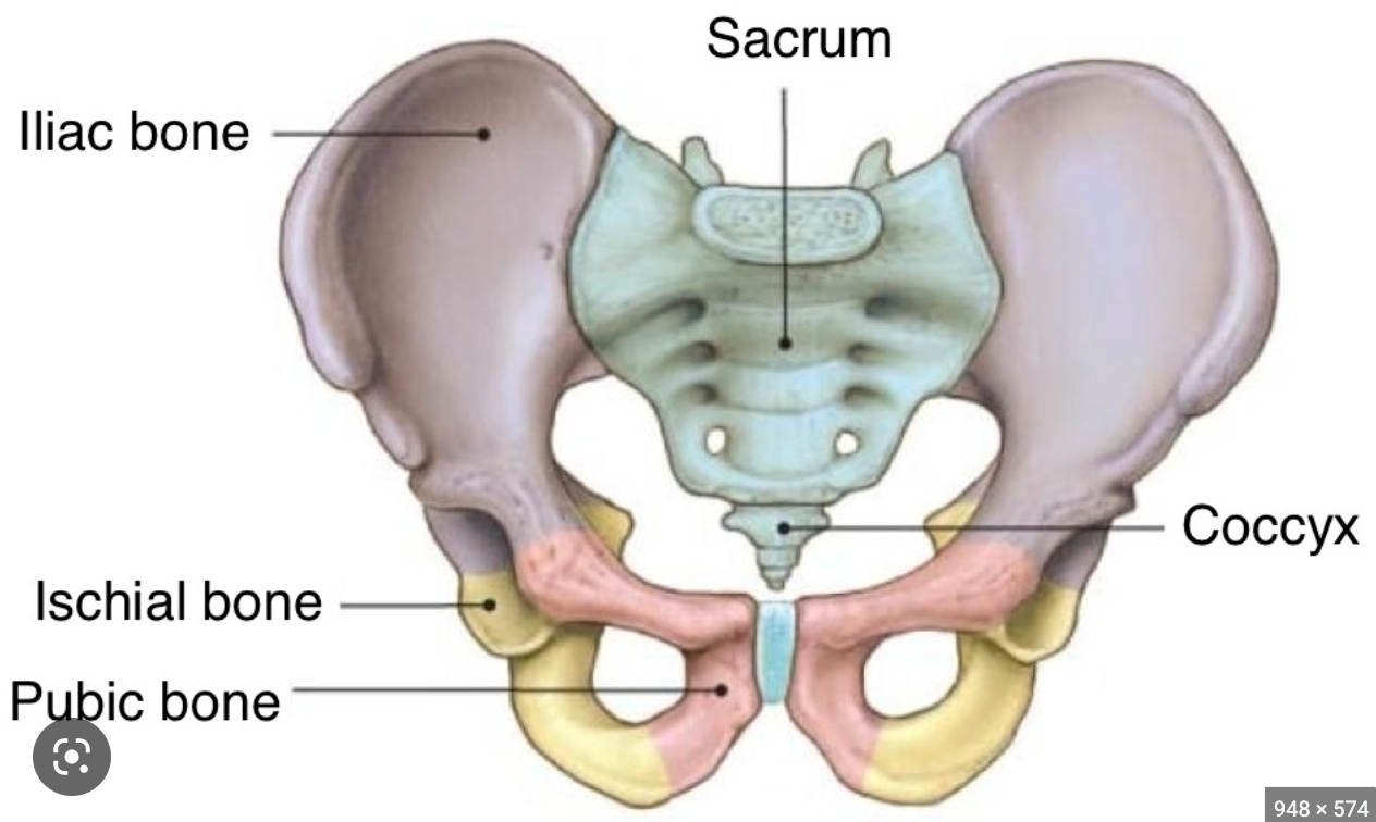 tip of hip bone
