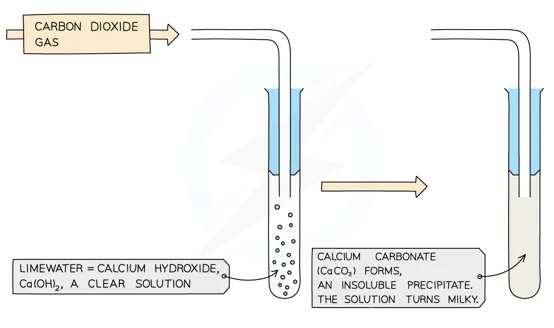 Ca(OH)2 solution turns cloudy when in the presence of CO2 gas due to the formation of insoluble white calcium carbonate