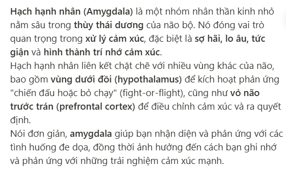 <p>a part of the brain that handles emotion</p>