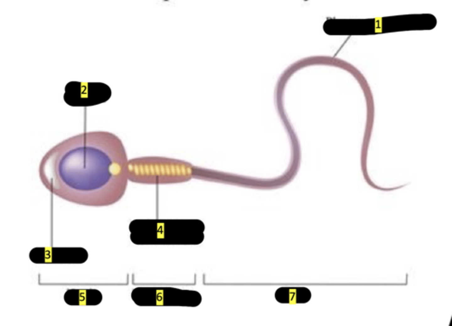 <p>#2</p>