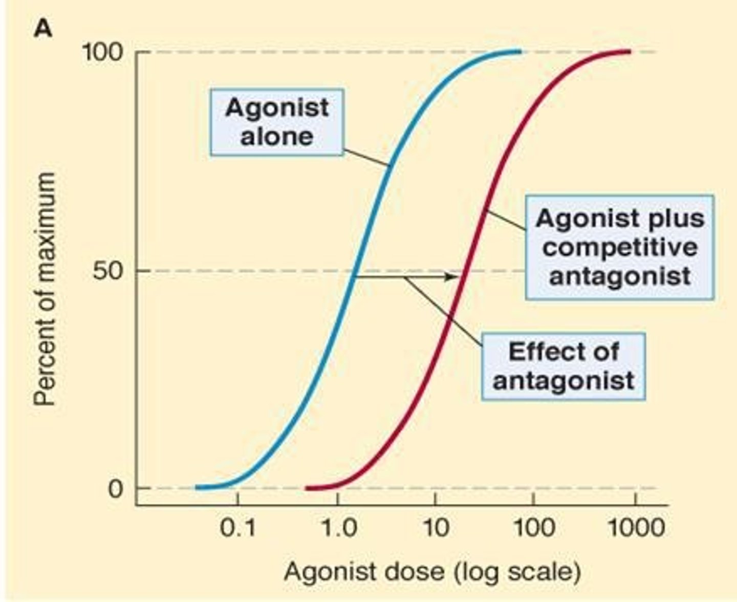 <p>The curve shifts to the right, but the maximal response is preserved.</p>