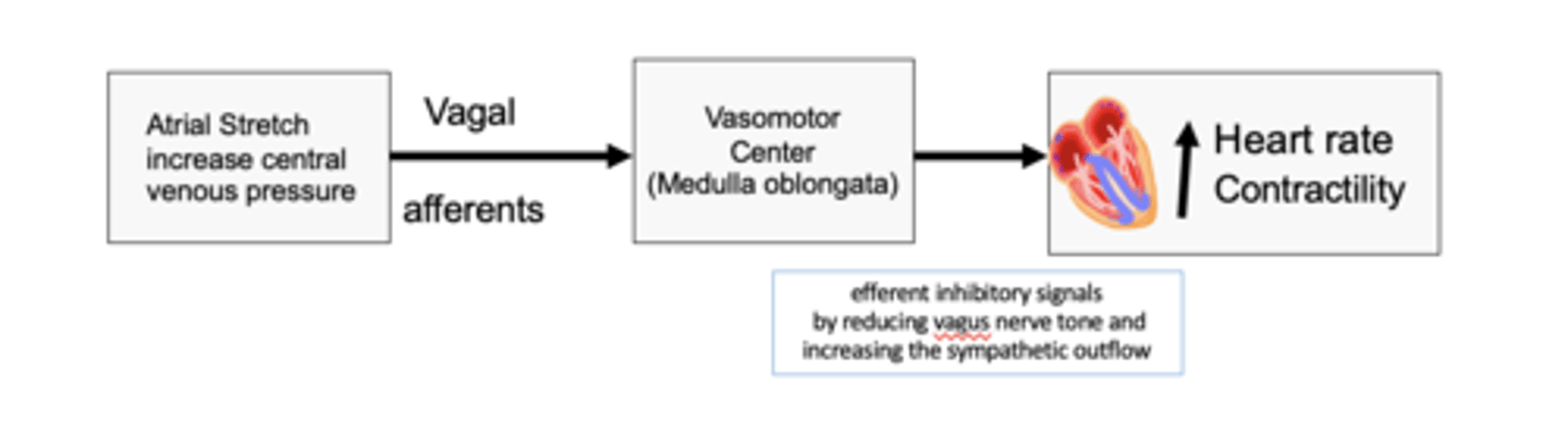 <p>The bainbridge reflex (atrial reflex) stretch of the atria sends signals to VMC via vagal afferent to do what? </p>