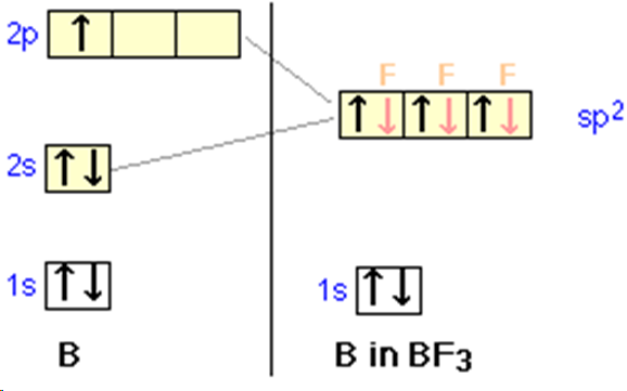 <p>three p orbitals and one s orbital hybridise to form three hybrids and one unhybridised p orbital (which overlaps forming a pi bond), trigonal planar with bond angles of 120 degrees</p>