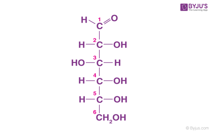 <p>-contains C, H, and O in a 1:2:1 ratio -used as fuel for cellular work (form of immediate energy) -form of glucose -hydrophilic</p>