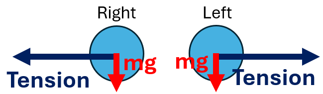 <p>Centripetal force F = T</p><p>T = F = mv²/r</p>