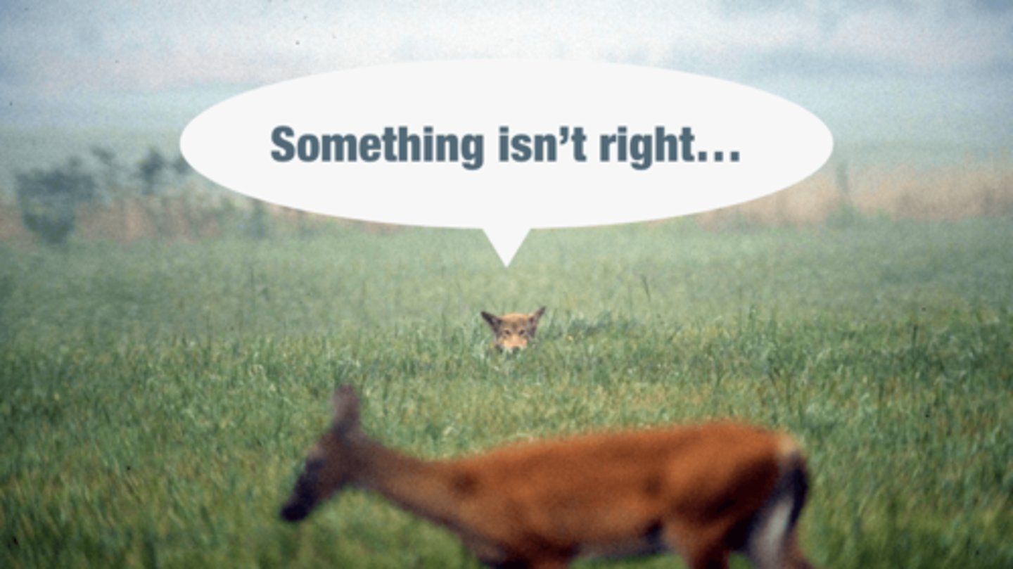 <p>(n) linh cảm, trực giác</p>