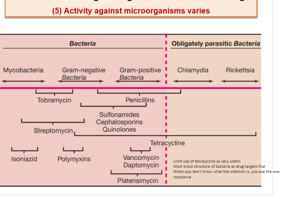 <ul><li><p>one antibiotic can have multiple targets</p></li><li><p>to do this, the drug target must be known</p></li><li><p>when you don’t know what infection somebody has, you use an antibiotic with broad targeting e.g. tetracycline</p></li></ul><p></p>
