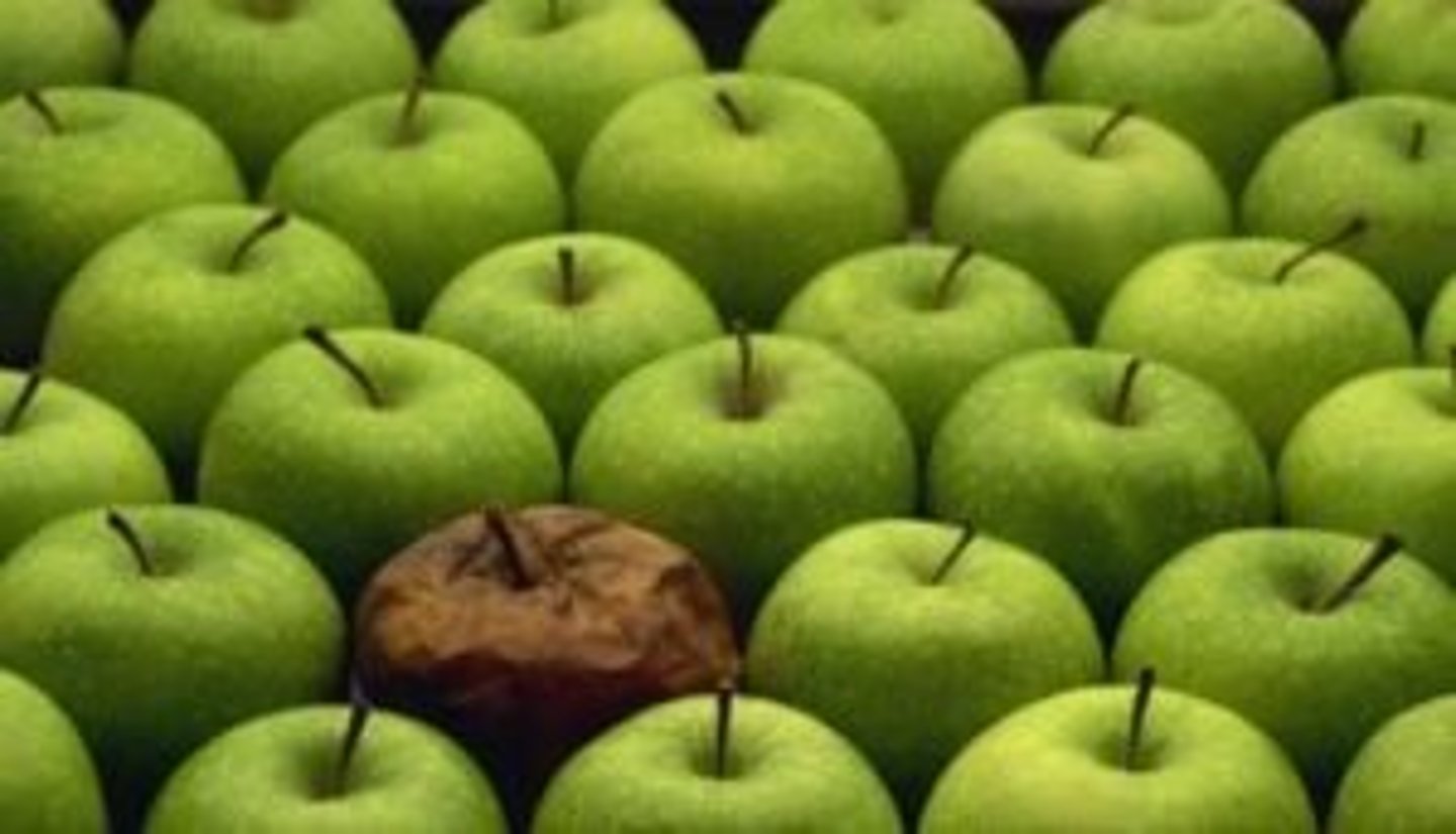 <p>Çürük elma/Kötü etkili kişi</p>