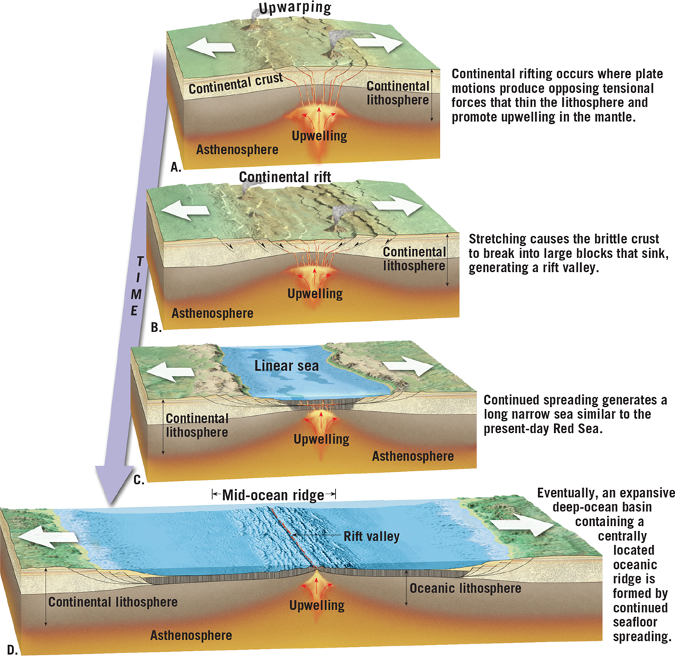 <p>where two plates move apart, resulting in upwelling and partial melting of hot material from mantle to create new seafloor (mid-ocean ridges and continental rift valleys)</p>
