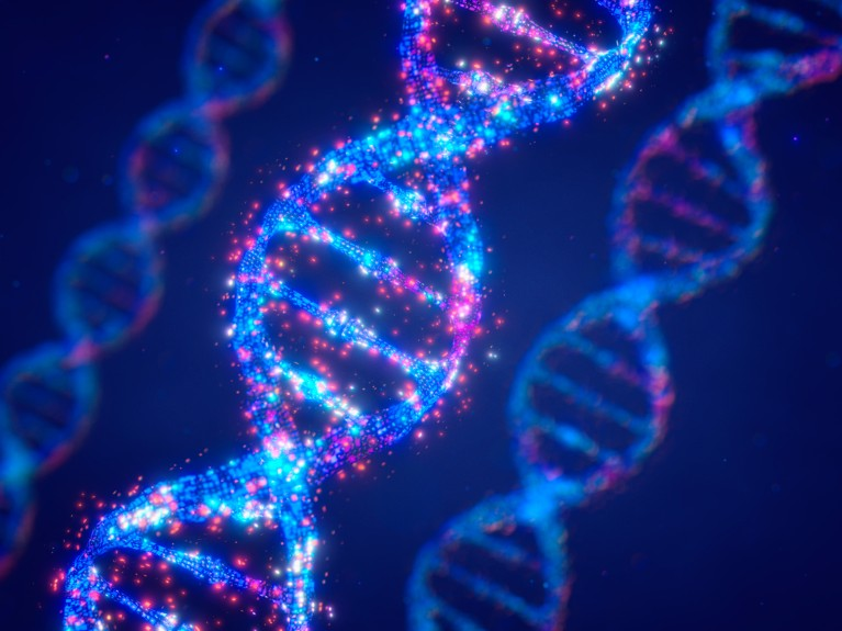 <p><span style="font-family: Aptos, sans-serif; line-height: 115%;">What is the role of DNA?</span></p>