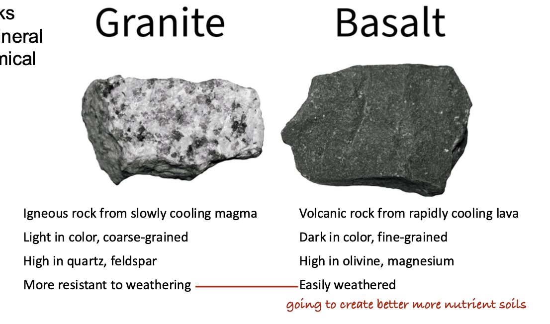 <p>A. Basalt-derived soils are clay-rich and more fertile.</p>