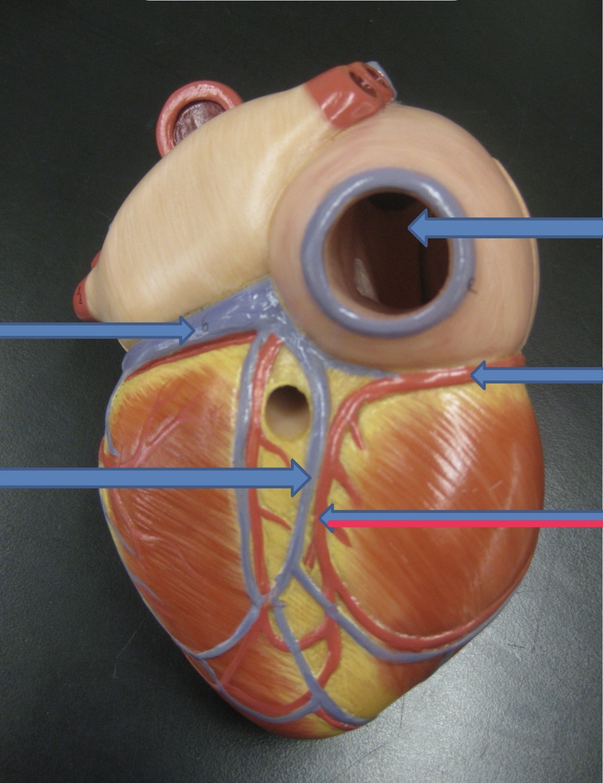knowt flashcard image