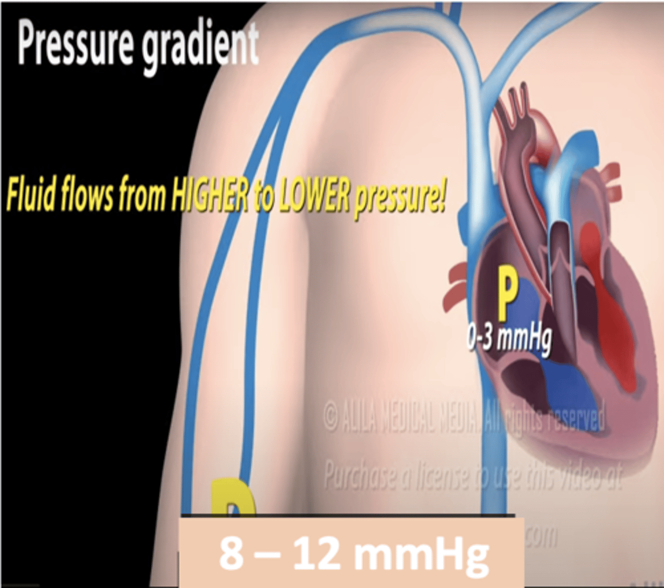 <p>What is the major force driving peripheral blood back to the heart? (factors that facilitate venous return) </p>