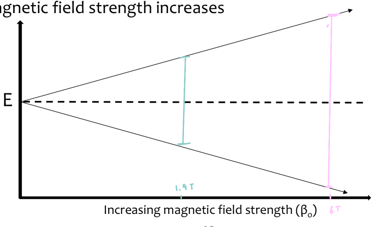 <ul><li><p>energy absorption is a quantized phenomenon</p><ul><li><p>E<sub>(absorbed)</sub> = (E<sub>-1/2 state</sub> - E<sub> +1/2 state</sub>) = hv</p></li></ul></li><li><p>the energy gap between each state increases as the applied magnetic field strength increases</p></li></ul><p></p>