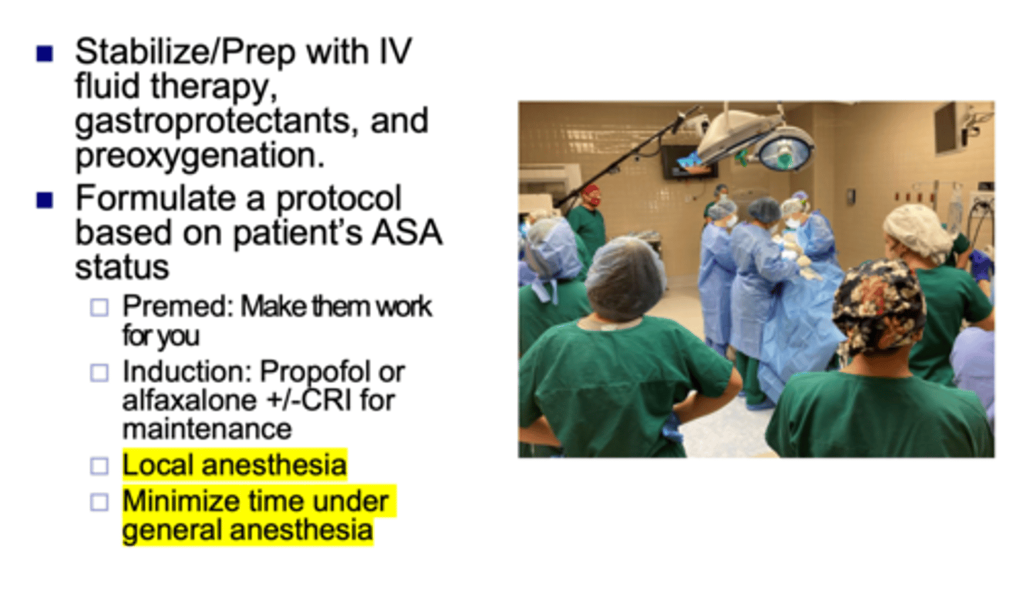 <p>review the summary for C-section, what are the two most important things</p>