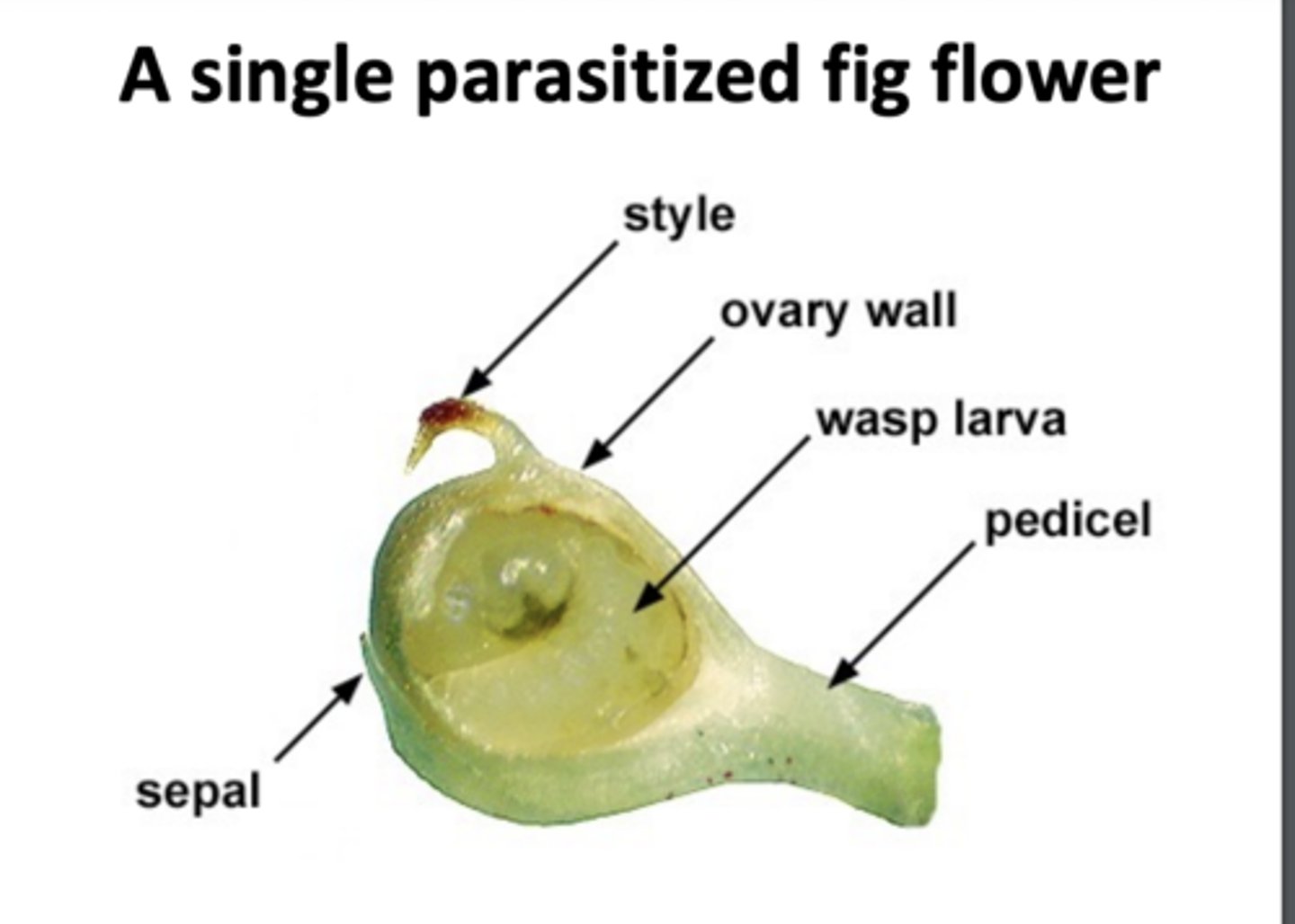 <p>look at image.</p>