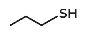 <p>IUPAC Name →Propane-1-thiol</p>