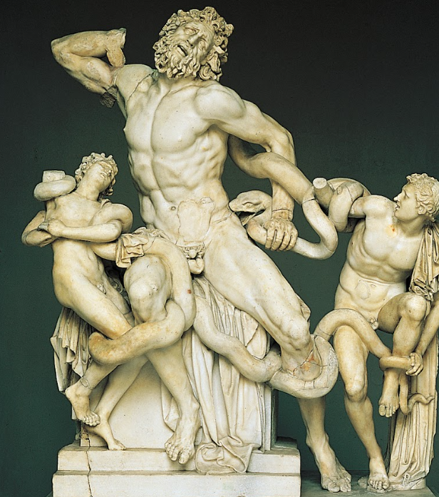 <p>laocoon si fiii sai</p>