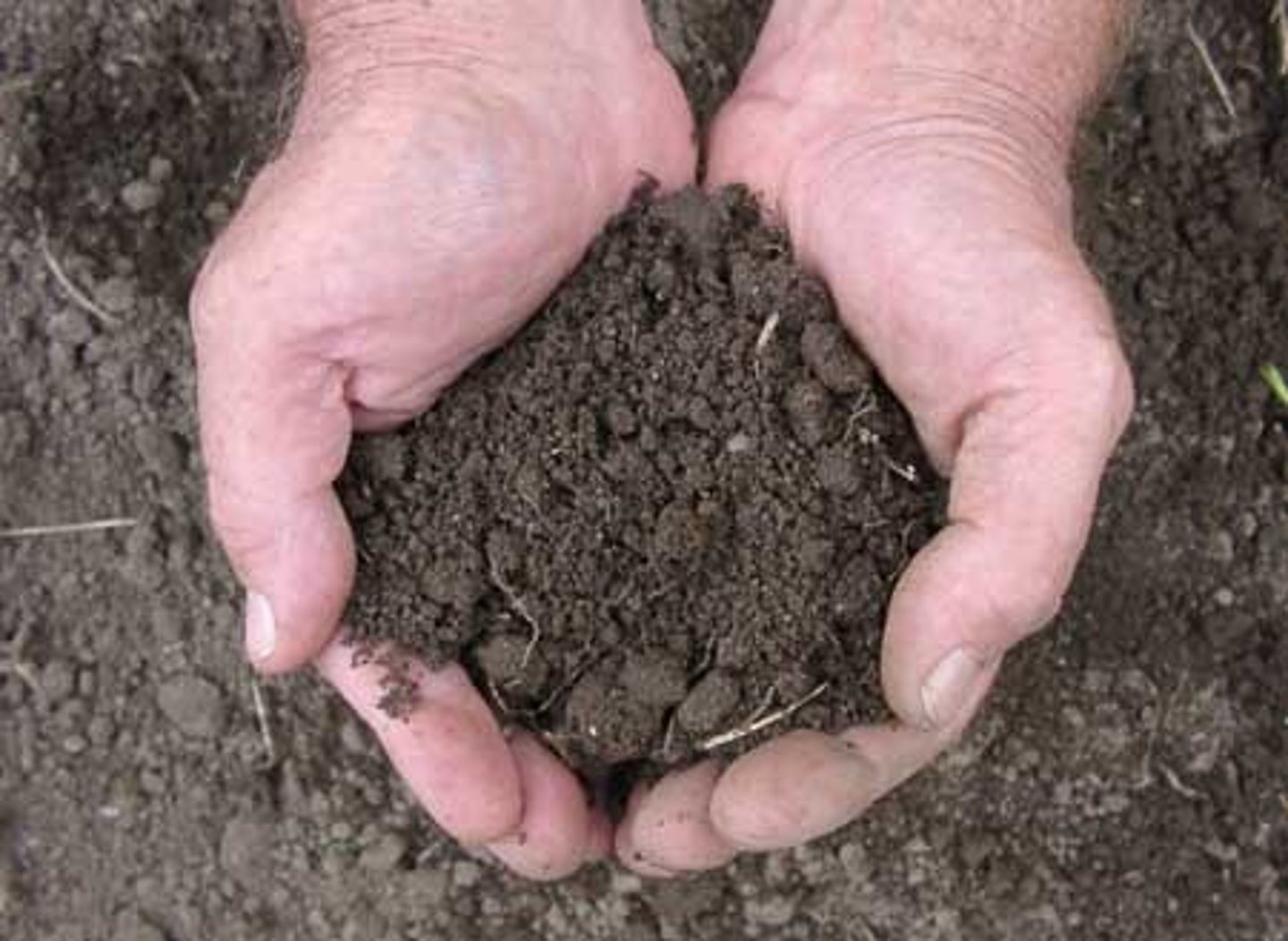 <p>It reduces soil health, causes nutrient leaching, and kills detritivores and microorganisms.</p>