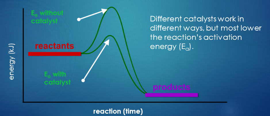 <ul><li><p>Substances that change the rate of a reaction without being used in the process.</p></li><li><p>Catalysts never produce more product - they just the produce the same amount more qucikly</p></li><li><p>Different catalysts work in different ways, but most lower the reaction’s activation energy.</p></li></ul><p></p>