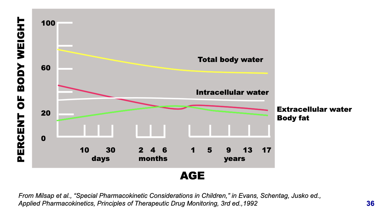<ul><li><p>total body water</p><ul><li><p>starts high in neonates and gradually decreases</p></li><li><p>higher total water = more distribution space for hydrophilic drugs → higher Vd</p></li></ul></li><li><p>extracellular water</p><ul><li><p>very high in neonates and drops with age</p></li><li><p>hydrophilic drugs tend to distribute in extracellular fluid → higher Vd in neonates</p></li></ul></li><li><p>intracellular water</p><ul><li><p>fairly stable across age groups</p></li><li><p>slightly lower in neonates, increases then plateaus</p></li></ul></li><li><p>body fat</p><ul><li><p>low in neonates</p></li><li><p>increases during infancy and childhood</p></li><li><p>lipophilic drugs will have lower Vd in neonates due to less fat to accumulate in</p></li></ul></li></ul><p></p>