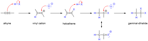 <p>2HX; result: </p><ul><li><p>X adds to the more substituted carbon</p></li></ul><ul><li><p>H adds to the less substituted carbon</p></li><li><p>The second HX adds the same way as the first</p></li></ul><p></p>