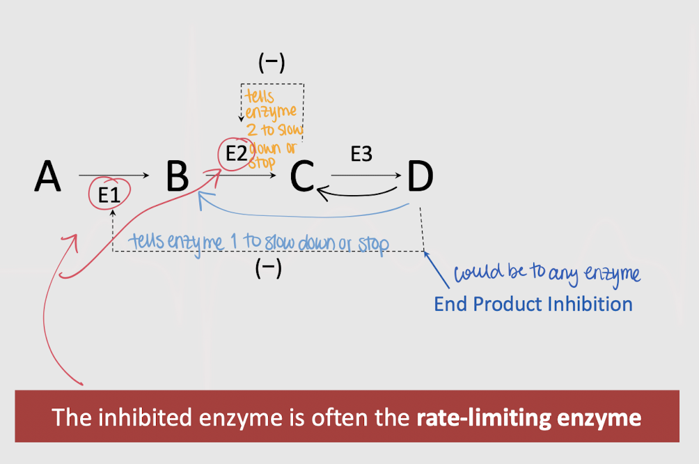 <p>feedback (end-product) inhibition</p>