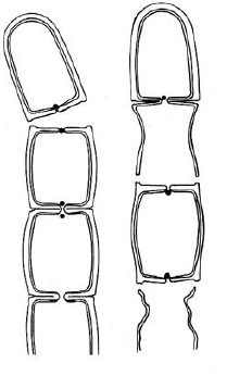 <p>origen </p>