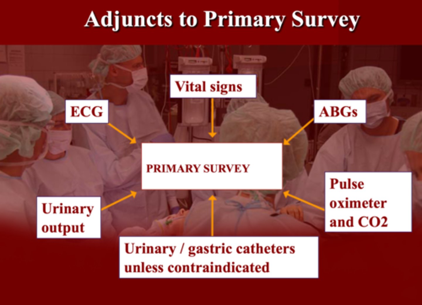 <p>E. All the above</p>