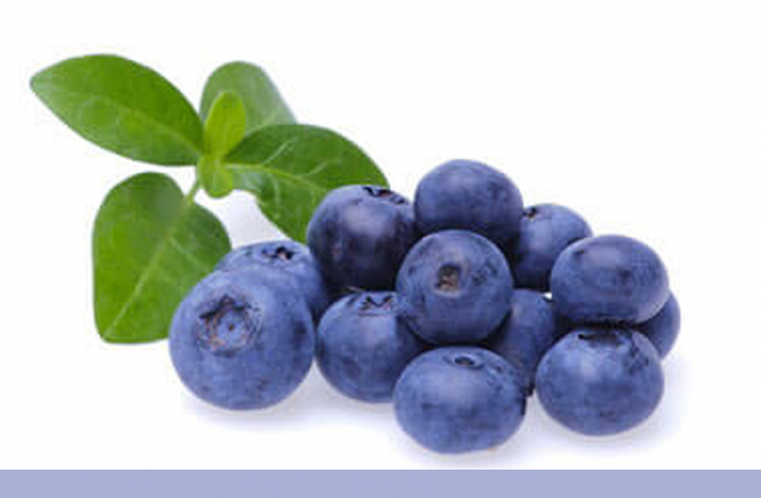 <p>possibly effective for problems in retina or high blood pressure</p>