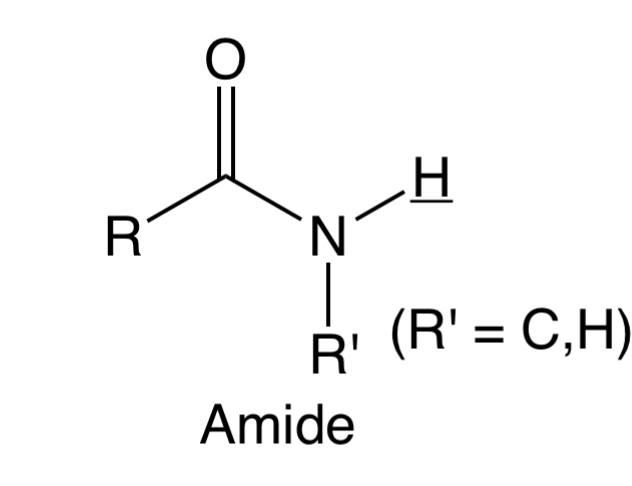 <p>Amide</p>