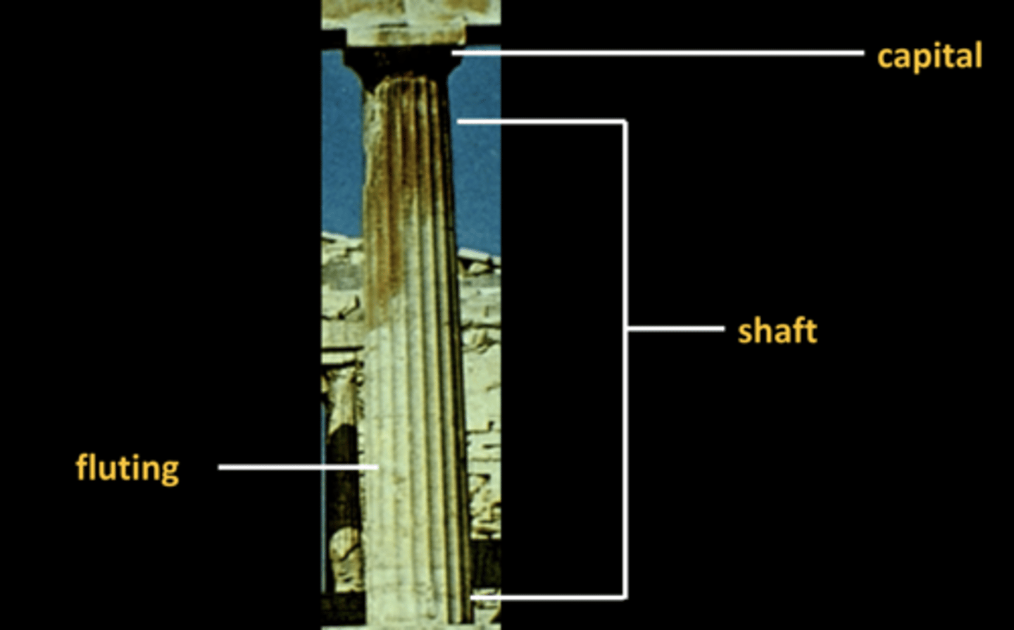 <p>shaft, with fluting and capital at the top</p>