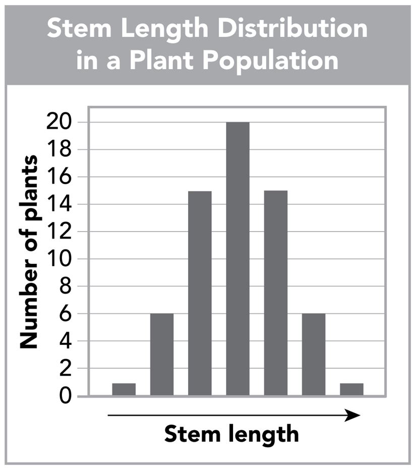 <p>A plant’s stem length distribution was graphed from the F1 generation of a cross. Seven categories of stem length phenotypes were observed.</p><p></p><p>What pattern of inheritance is suggested by the graph?</p><p>Responses</p><p></p><p>a.codominance</p><p></p><p>b.polygenic inheritance</p><p></p><p>c.multiple alleles</p><p></p><p>d.incomplete dominance</p>