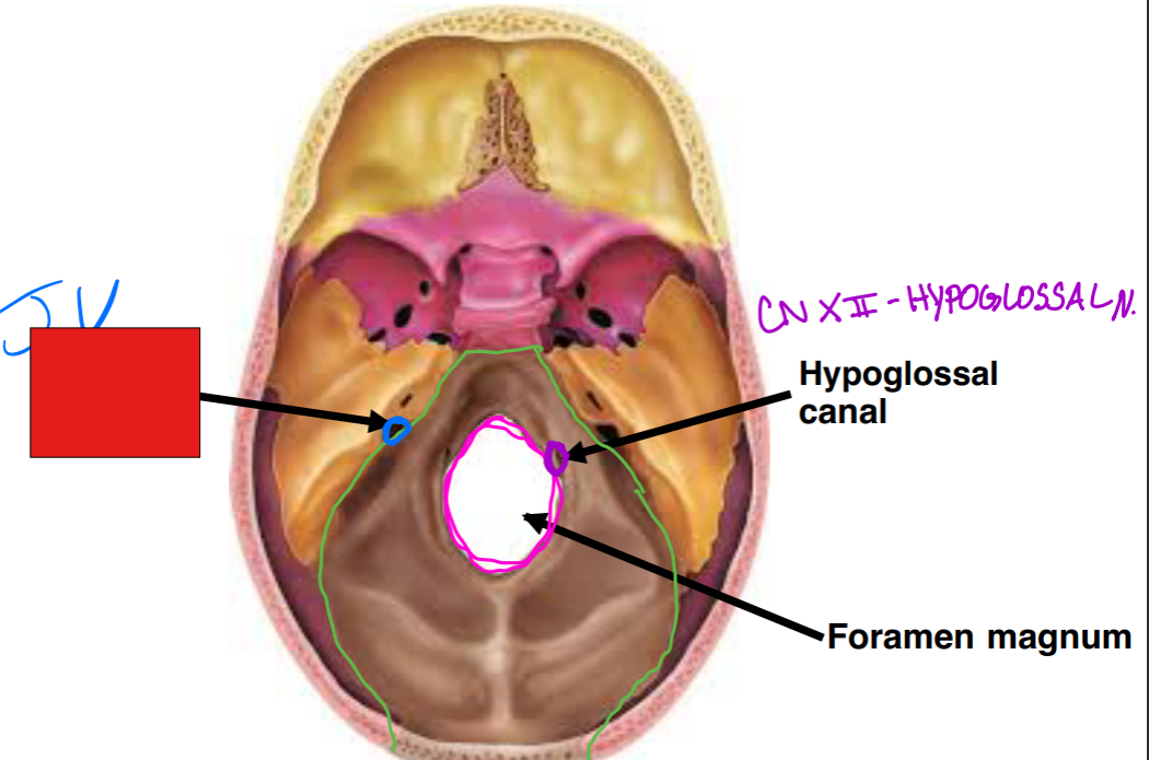 <p>Fill in the red box:</p>
