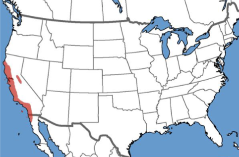 <p>Who’s range map?</p>