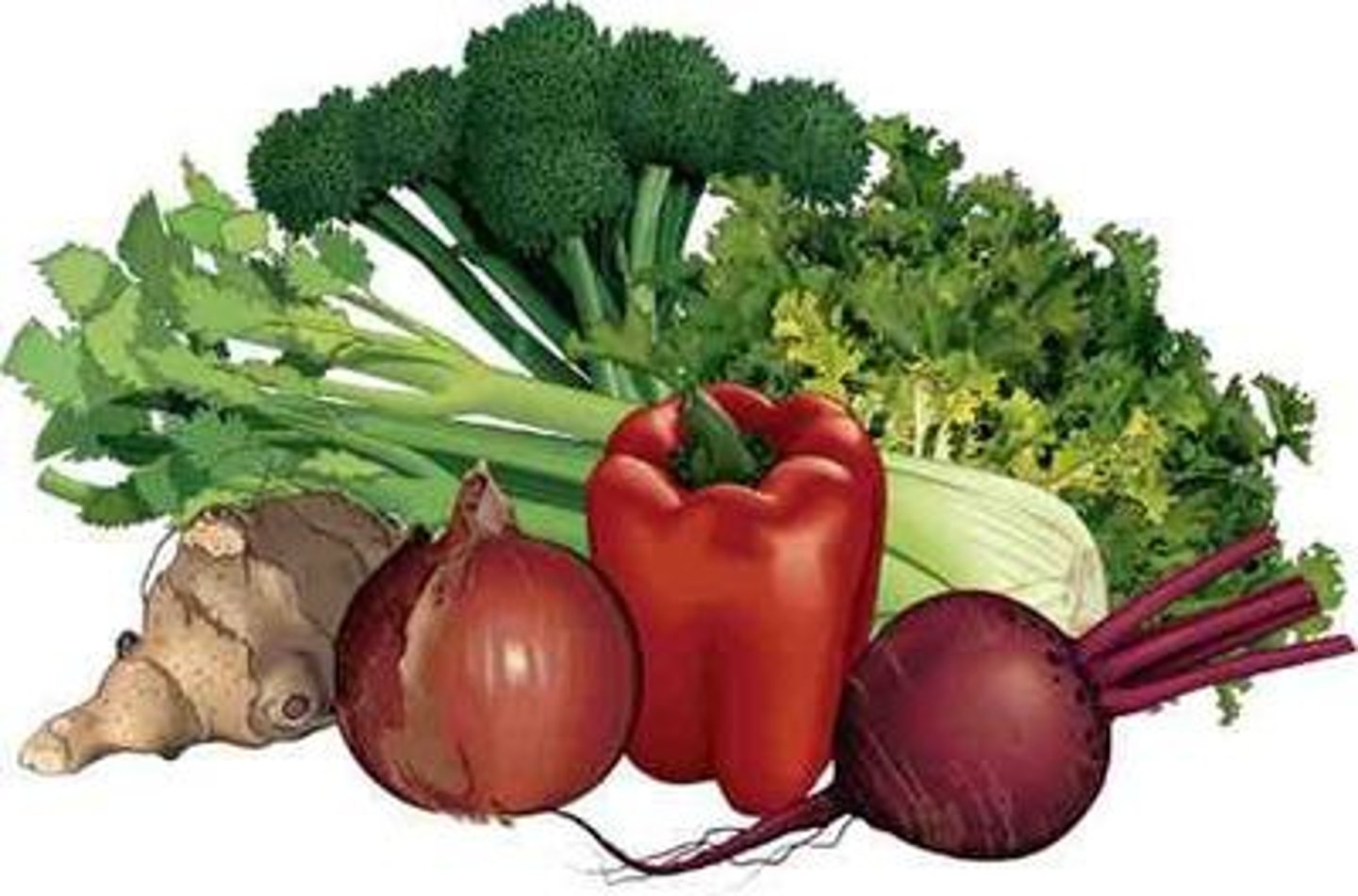<p>vegetables</p>
