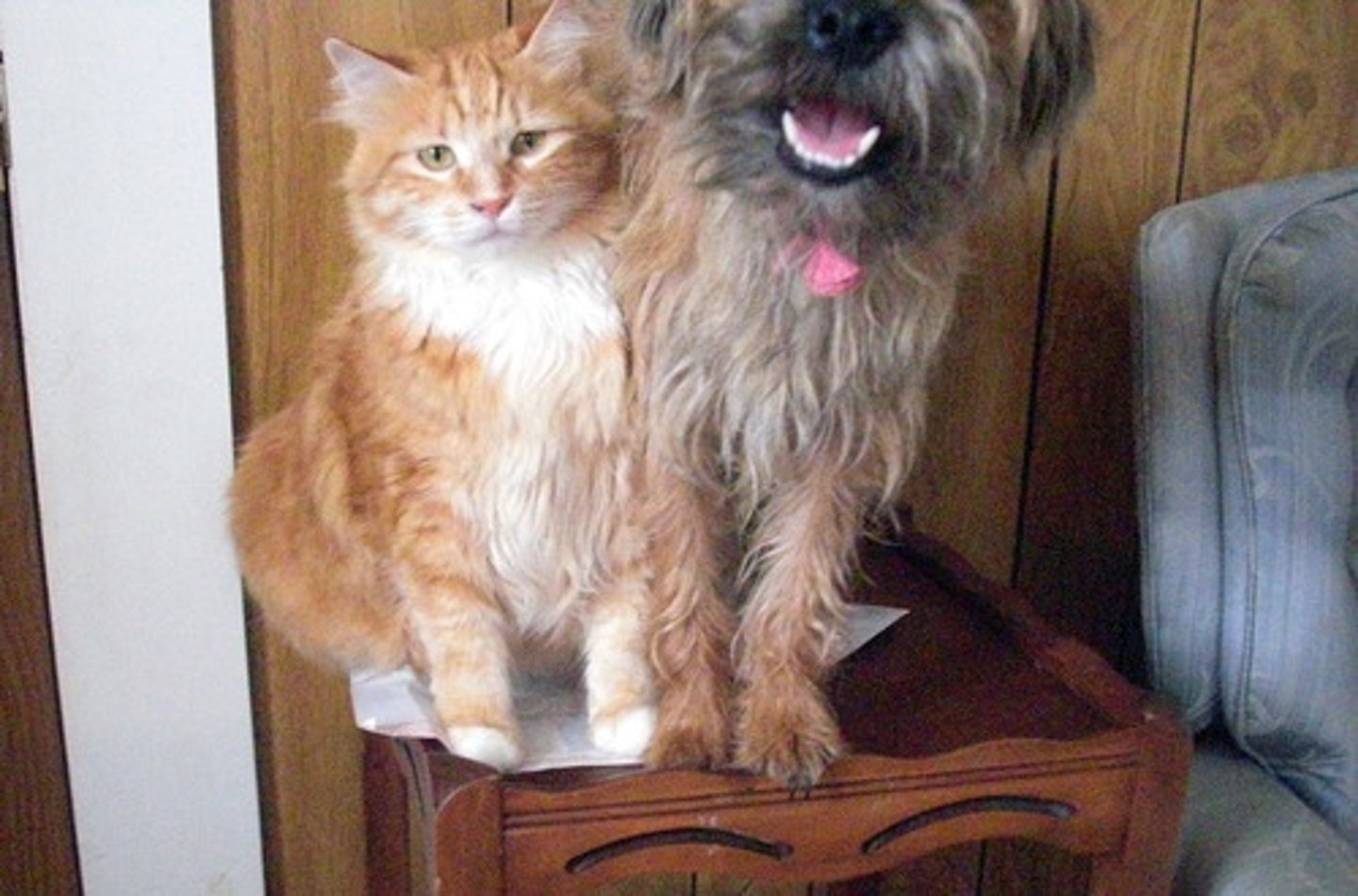 <p>змиритися з</p>