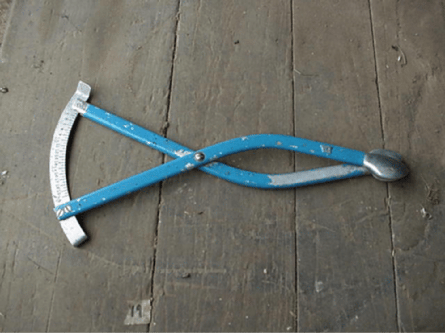 <p>instrument used to measure the pelvis</p>