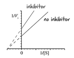 <p>Shown in the figure below is a double reciprocal plot for an experimental drug that lowers blood pressure. Which of the following is INCORRECT regarding the drug? [lineweaver]</p>