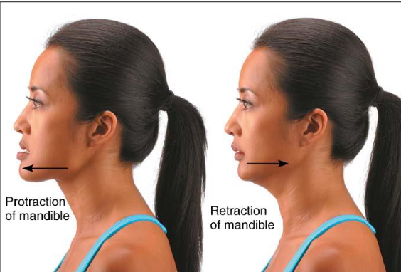 <ul><li><p>Movement permitted by synovial joint</p></li></ul><p></p>