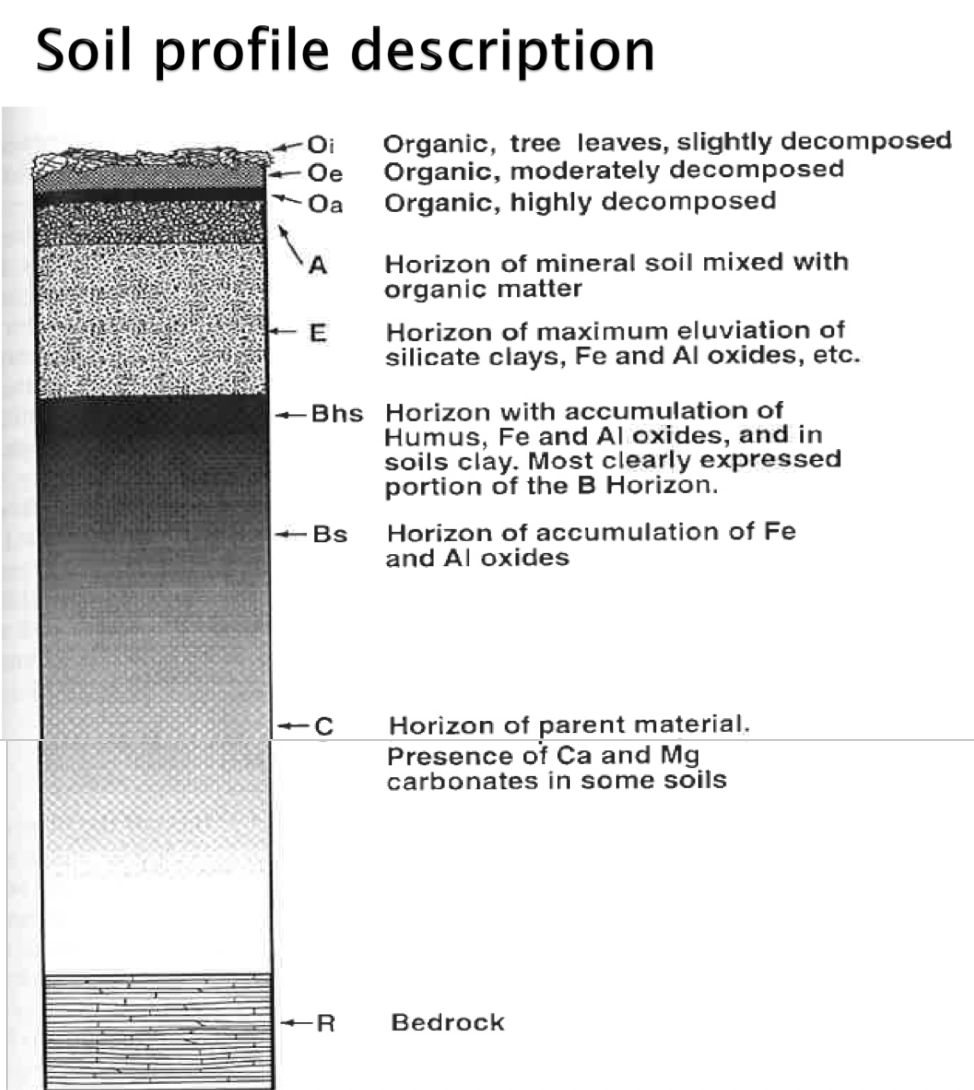<p>Soil profile</p>