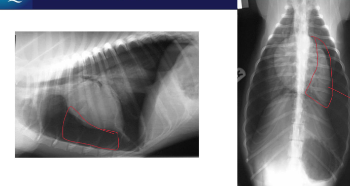 <p>What’s wrong here?</p>