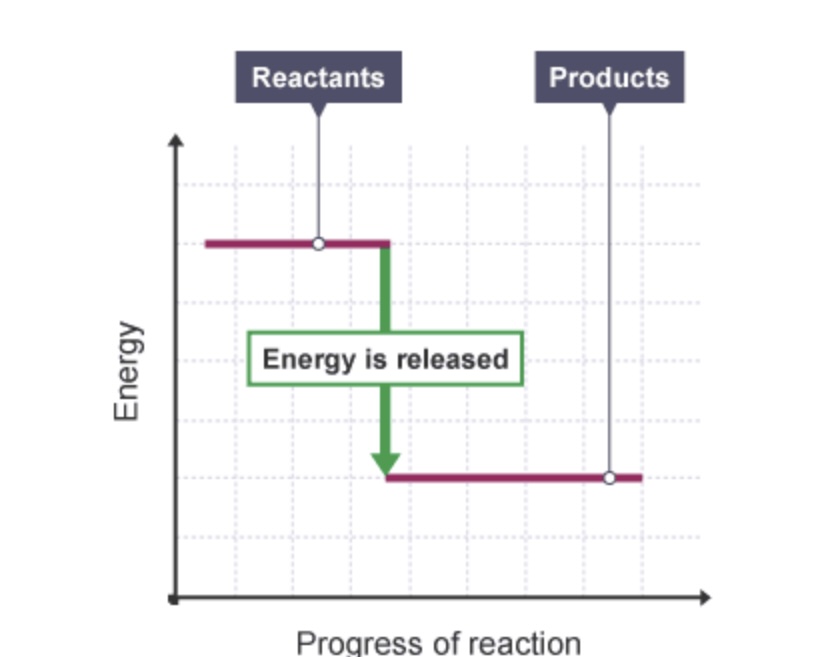 <p>Does the energy level diagram show and exothermic or an endothermic reaction?</p>