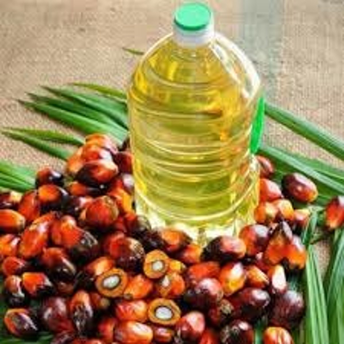 <p>A versatile vegetable oil derived from the fruit of the oil palm tree, primarily found in West Africa, Southeast Asia, and parts of Central America.</p>