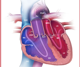 <p>What is this an image of?</p>