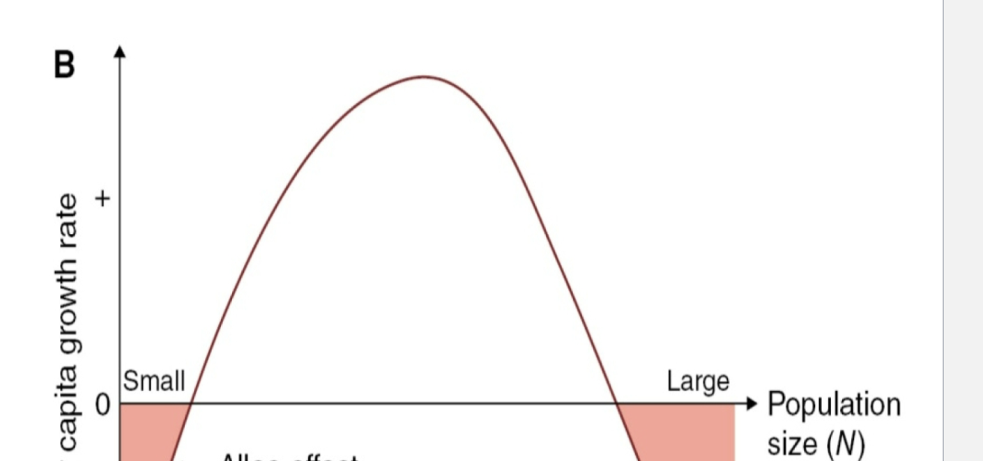 <p>A small population can limit growth rate rather than typical growth rate which is limited by carrying capacity. The cause is often behavioral like struggling to locate a mate. </p>