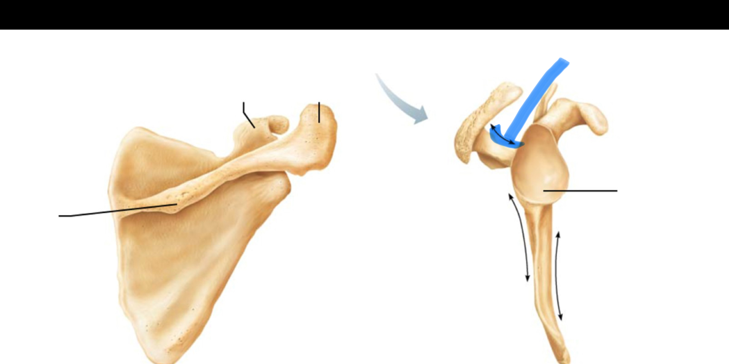 <p>What marking is this?</p>